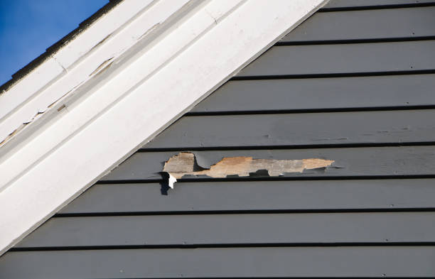 Best Construction Debris Removal  in Waimanalo, HI